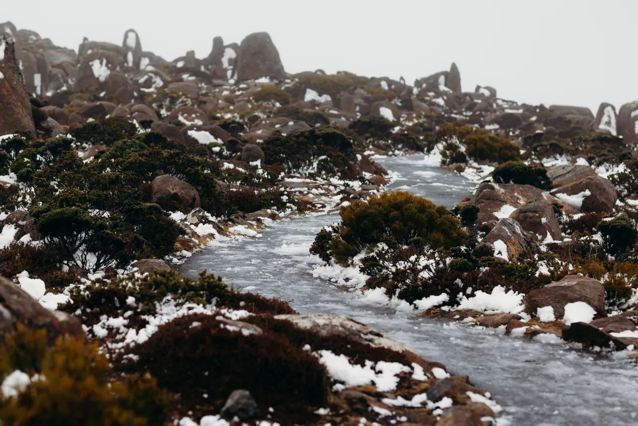 Snow on kunanyi / Mount Wellington