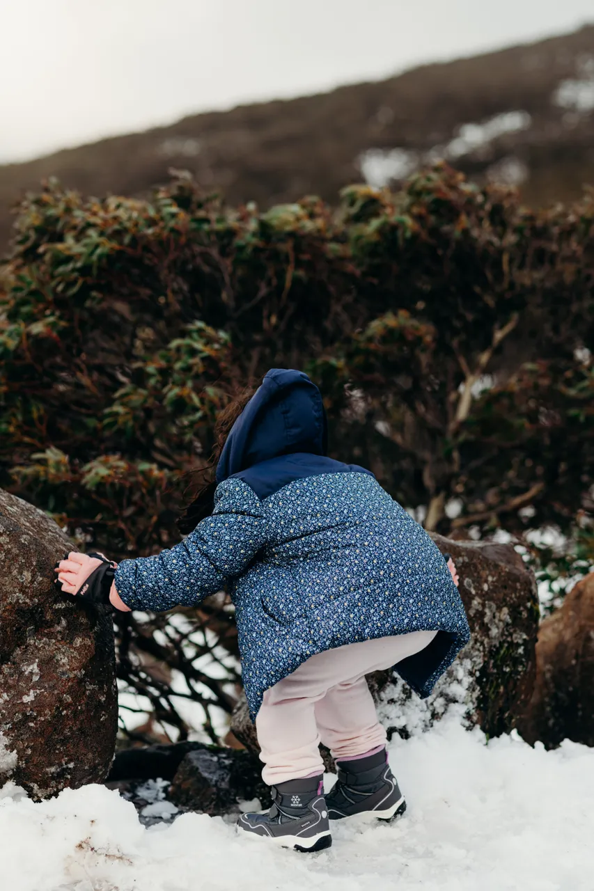 People in snow on kunanyi / Mount Wellington