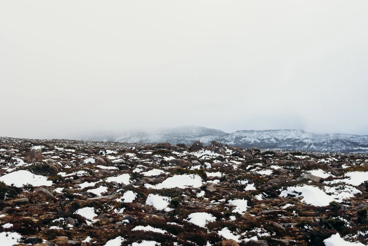 Snow on kunanyi / Mount Wellington