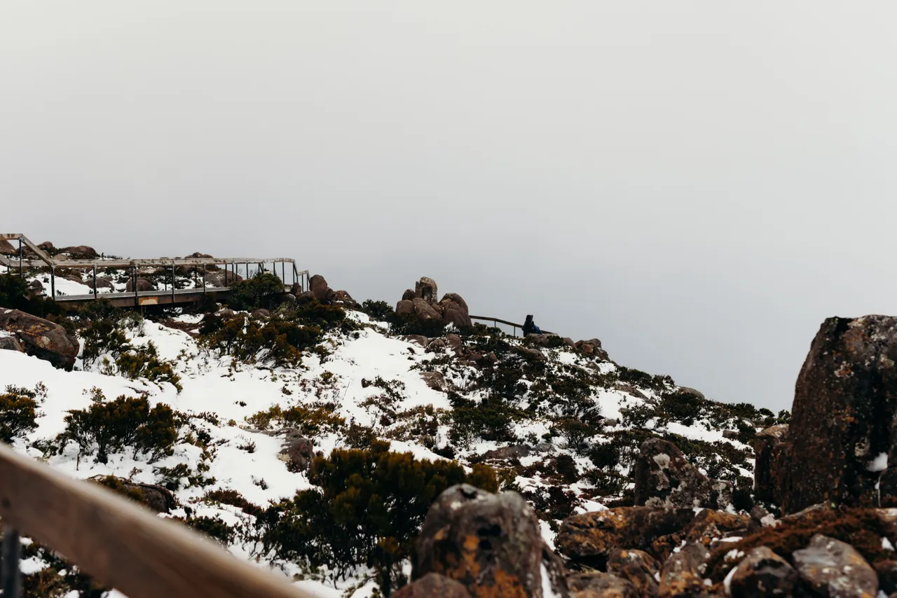Snow on kunanyi / Mount Wellington