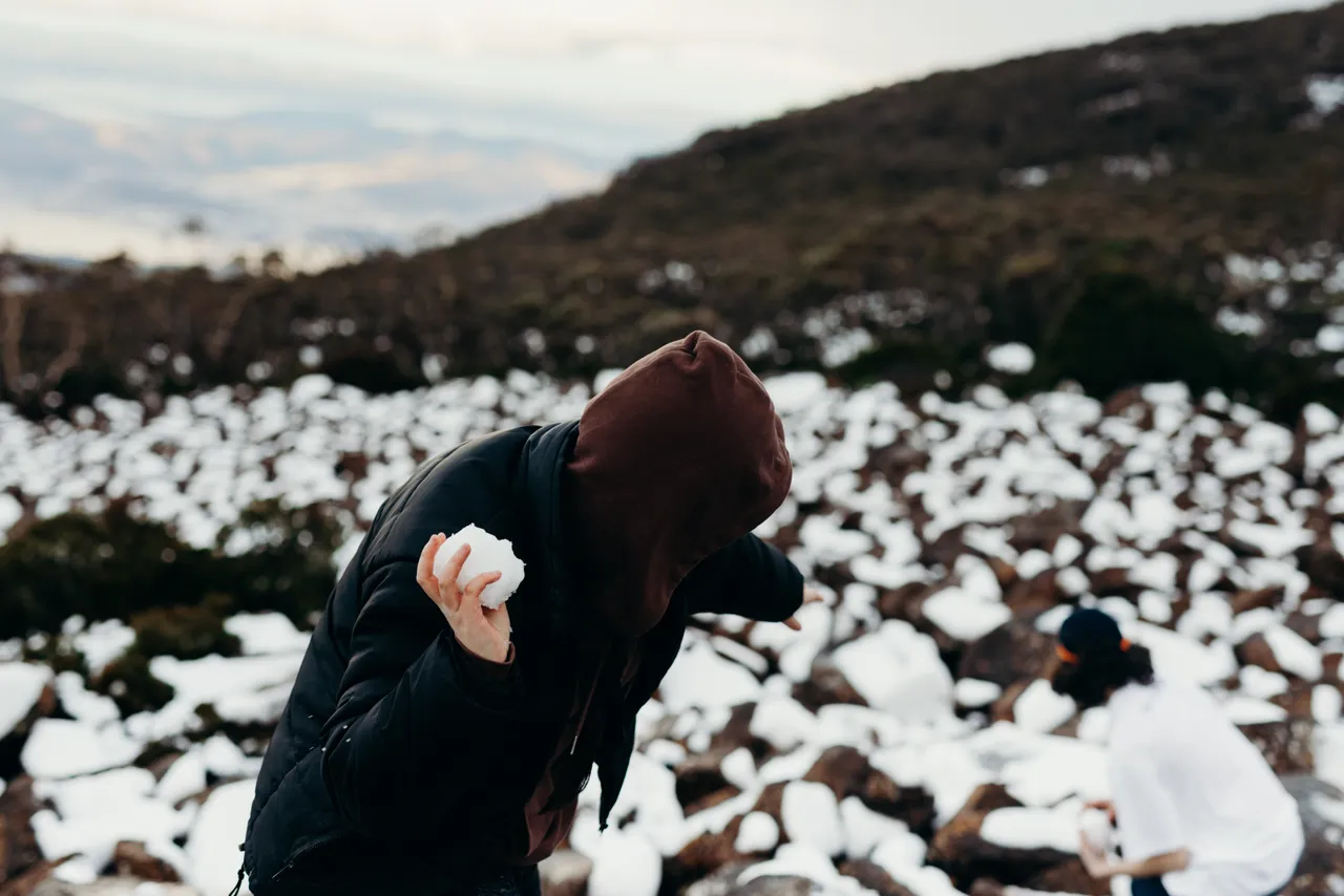 Snowball fight on kunanyi / Mount Wellington
