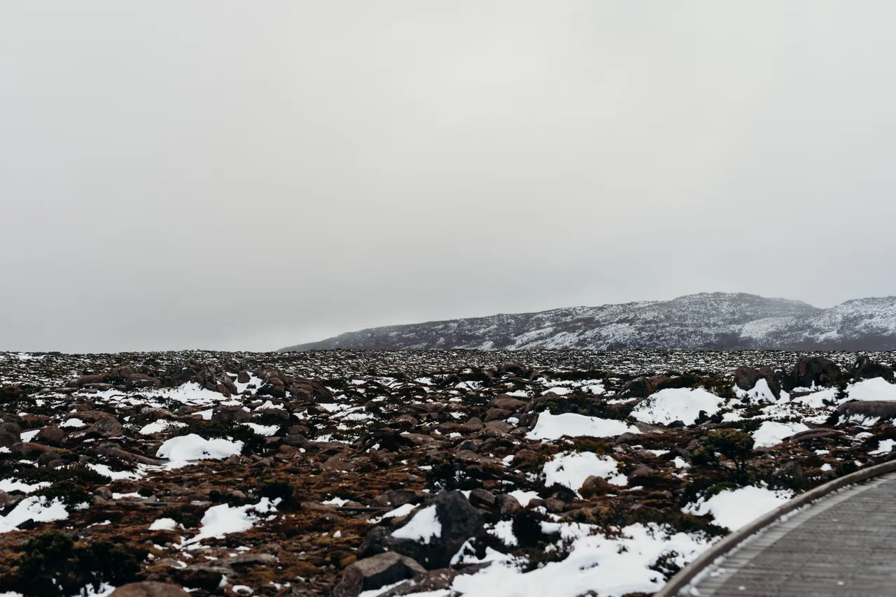 Snow on kunanyi / Mount Wellington