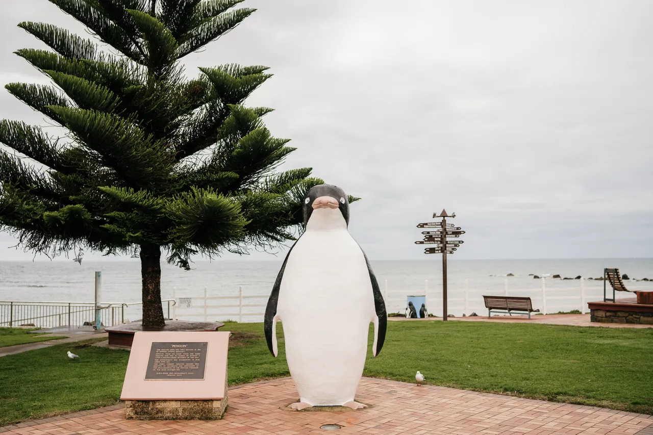 Penguin Foreshore
