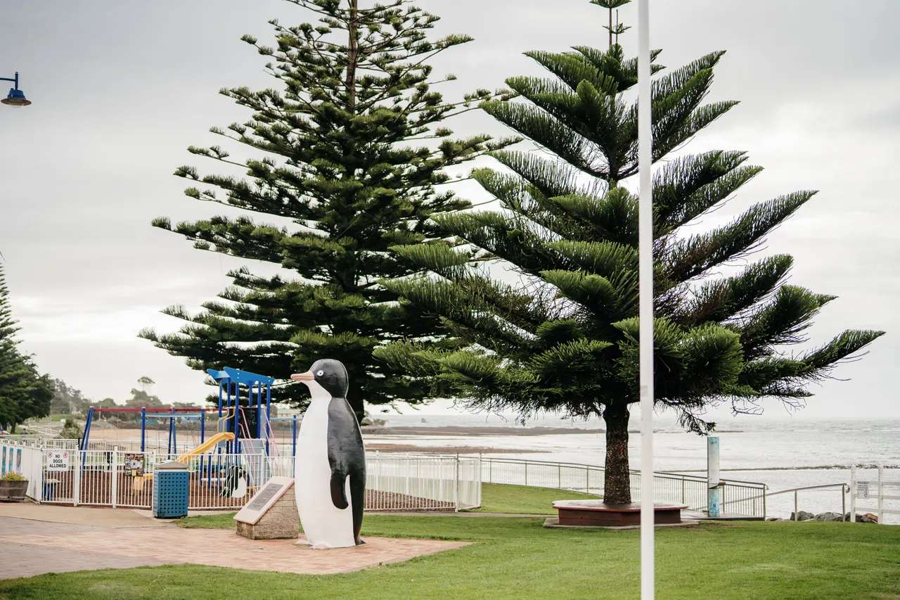 Penguin Foreshore