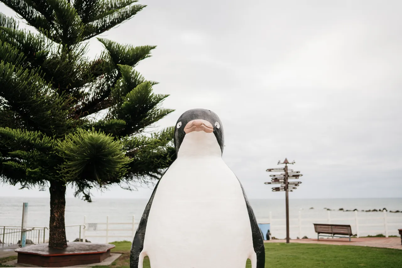 Penguin Foreshore