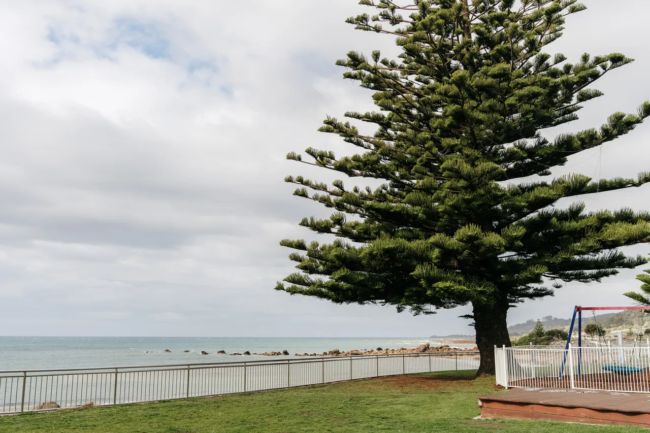 Penguin Foreshore