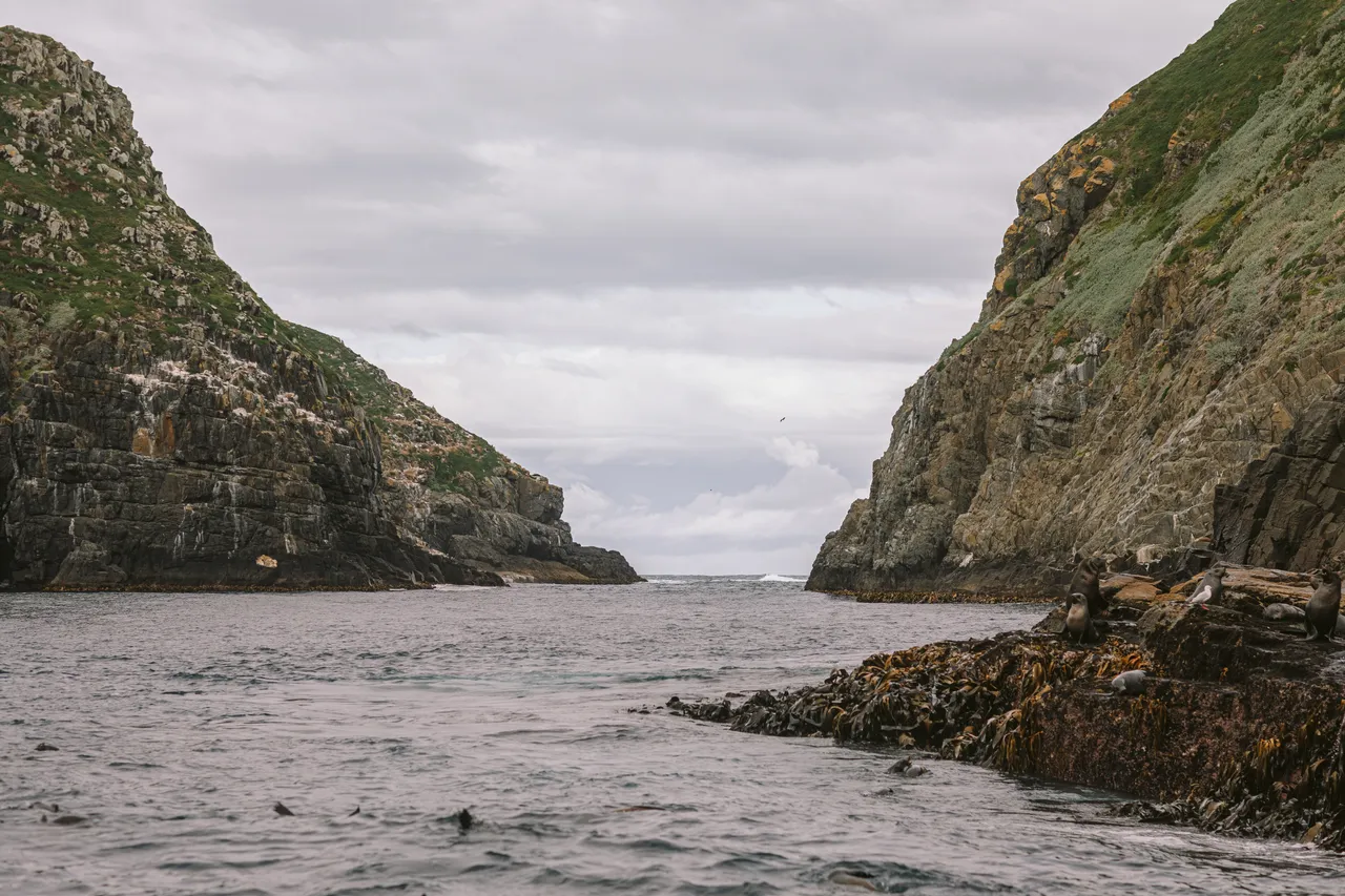Pennicott Wilderness Journeys