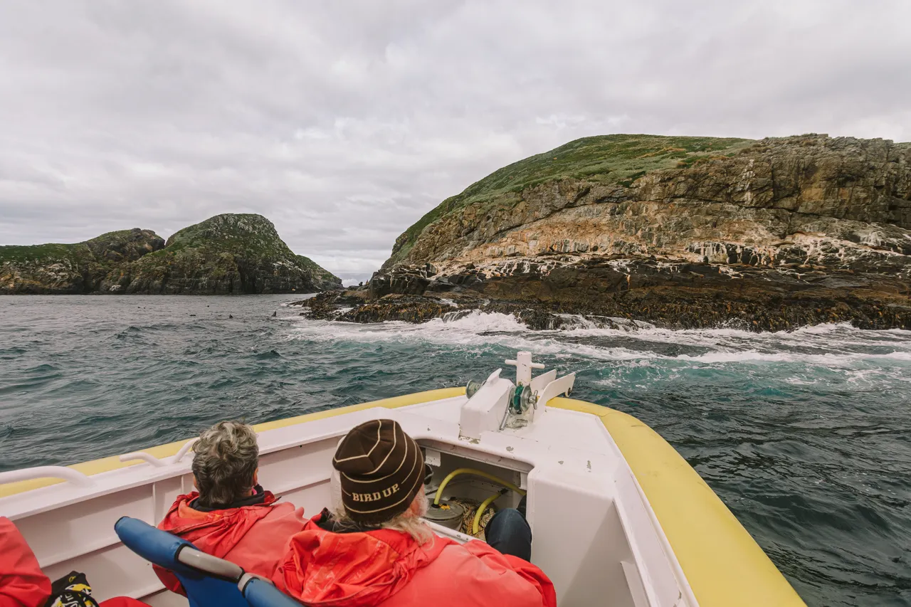 Pennicott Wilderness Journeys