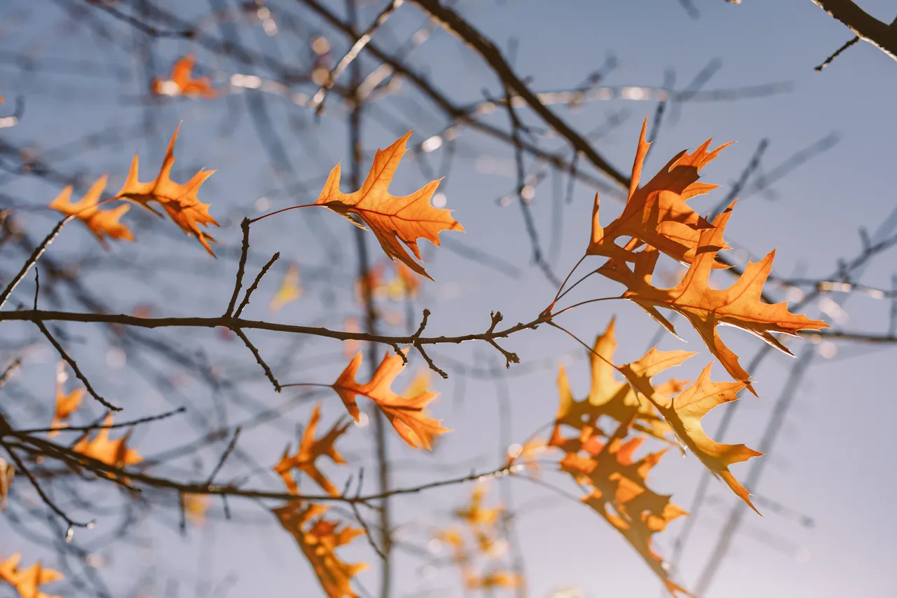 Derwent Valley in Autumn