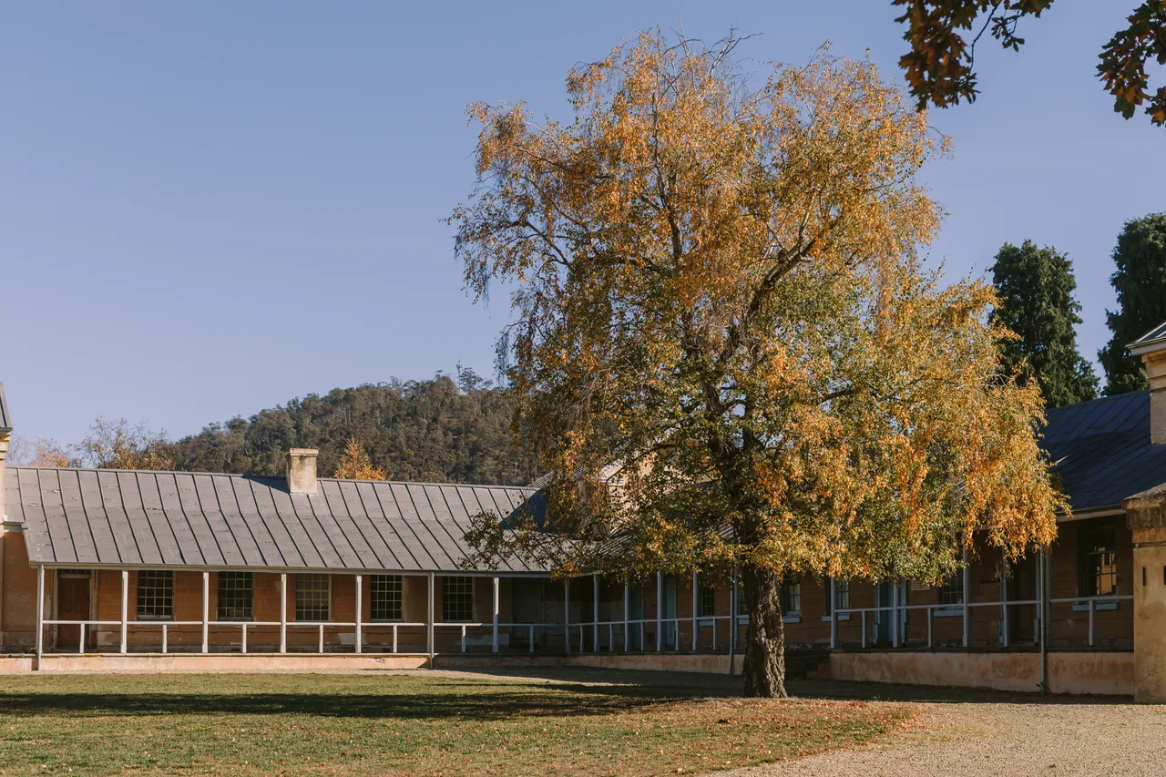Willow Court
