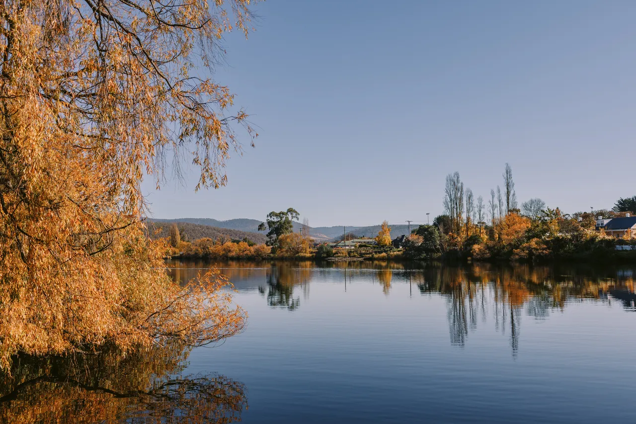 Derwent Valley in Autumn