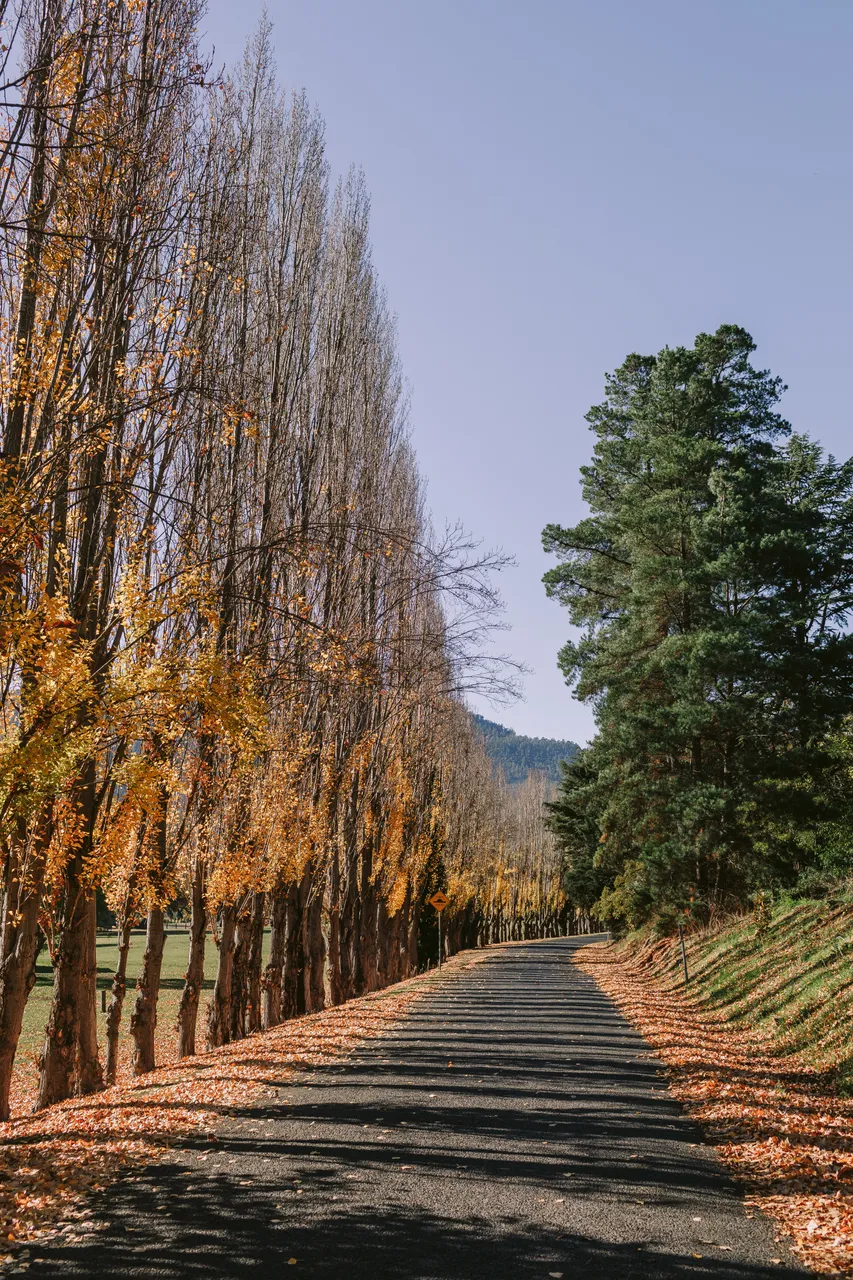 Derwent Valley in Autumn
