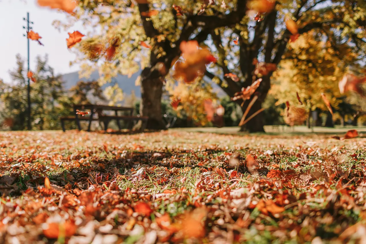 Derwent Valley in Autumn