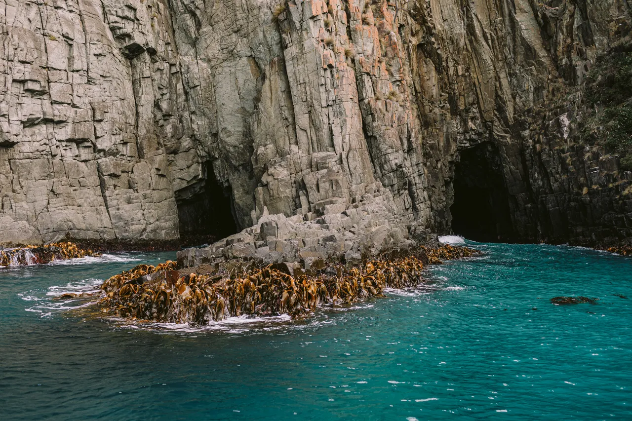 Sea Cave on Pennicott Wilderness Journeys Cruise