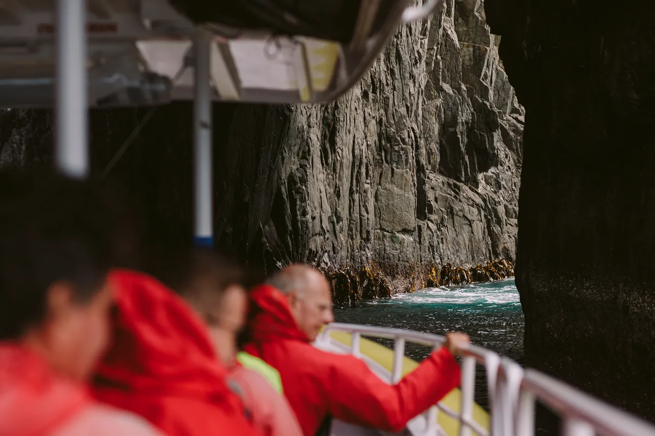 Sea Cliff Views on Pennicott Wilderness Journeys Cruise