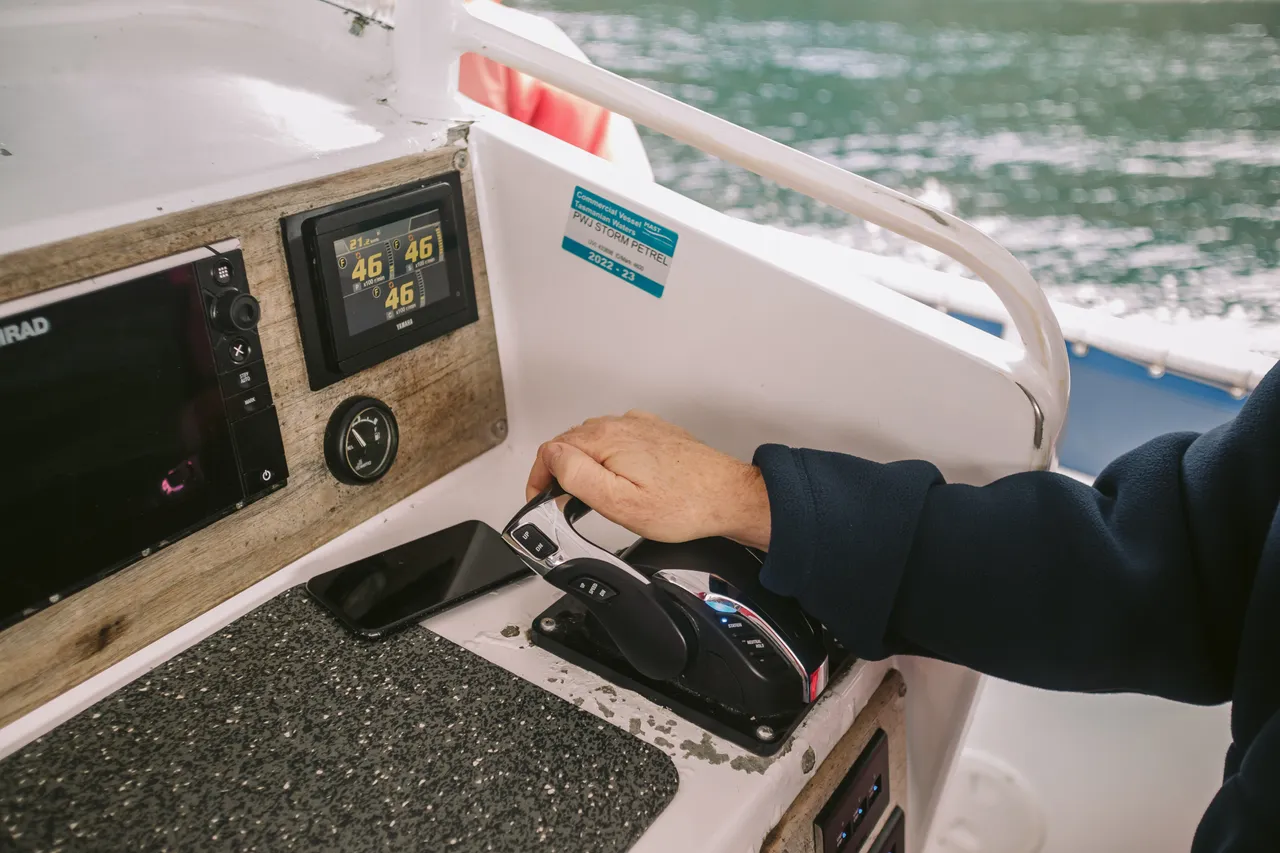 Boat in Gear - Pennicott Wilderness Journeys