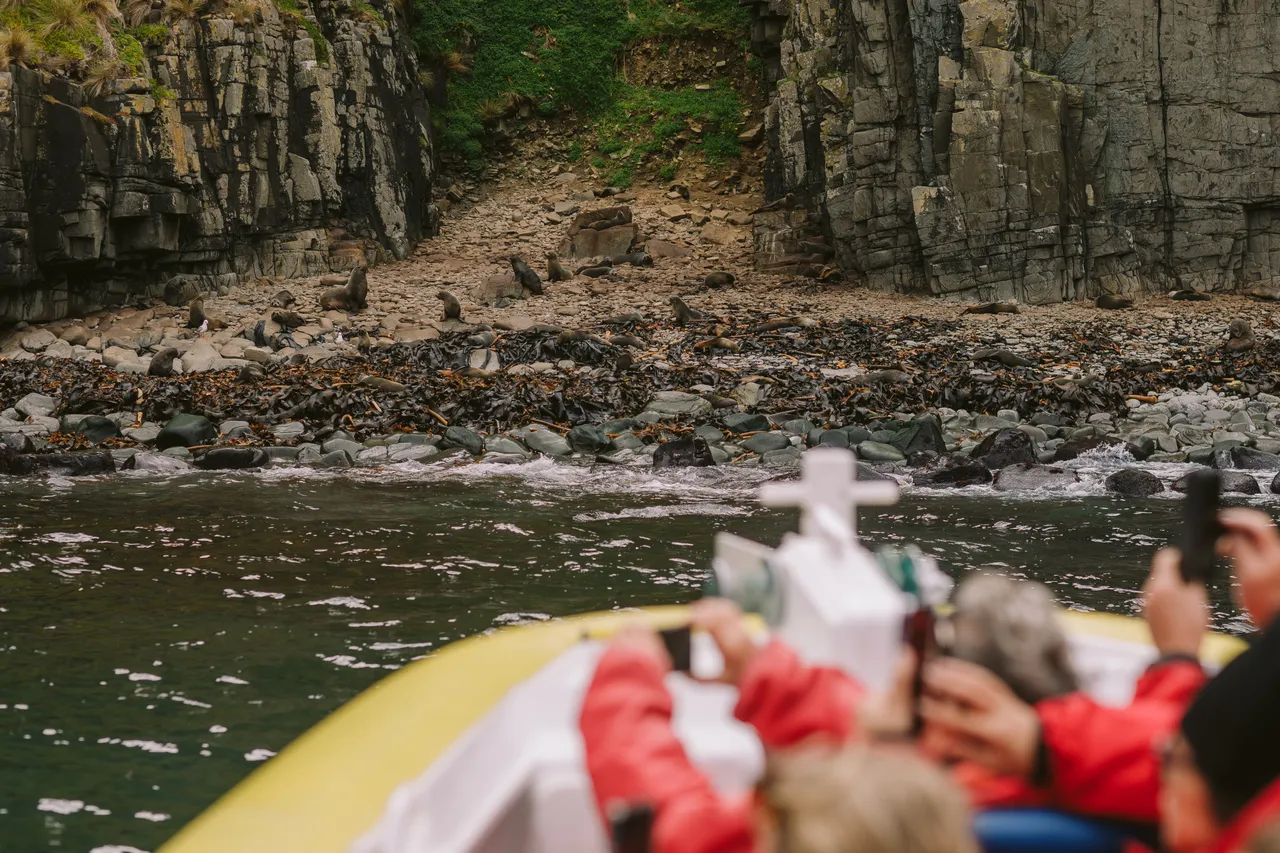 Pennicott Wilderness Journeys