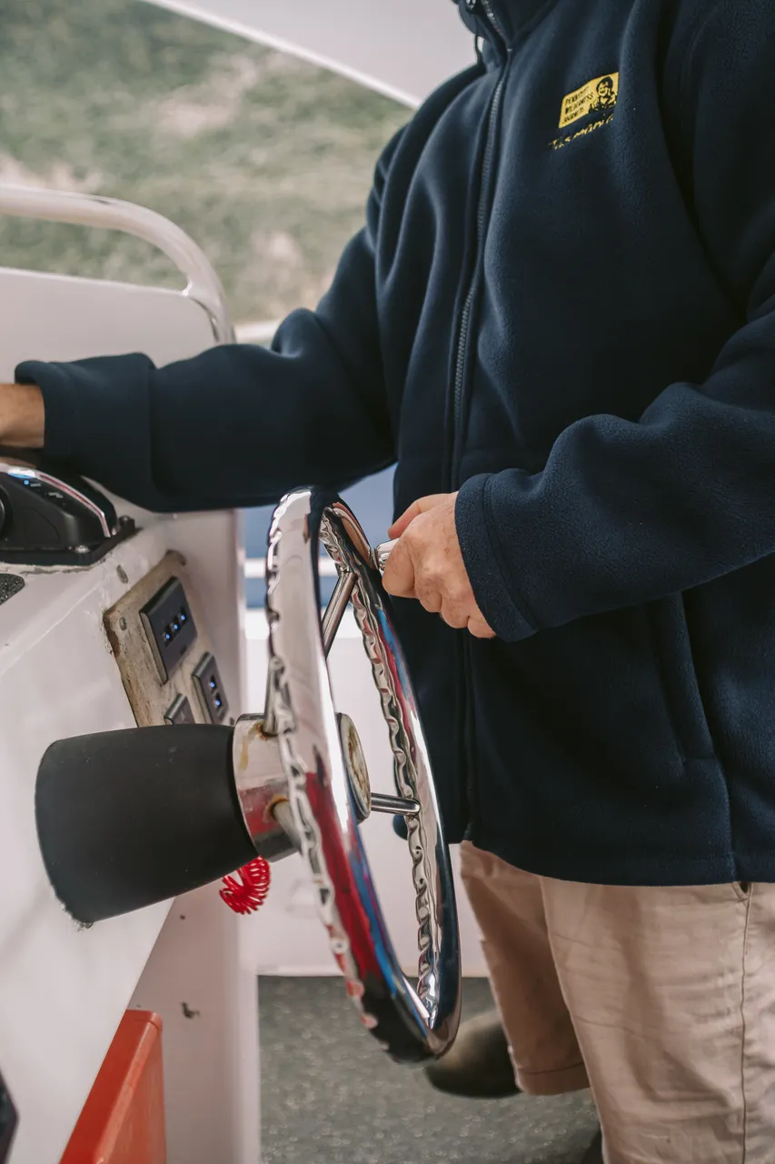 Steering the Pennicott Wilderness Journeys Boat