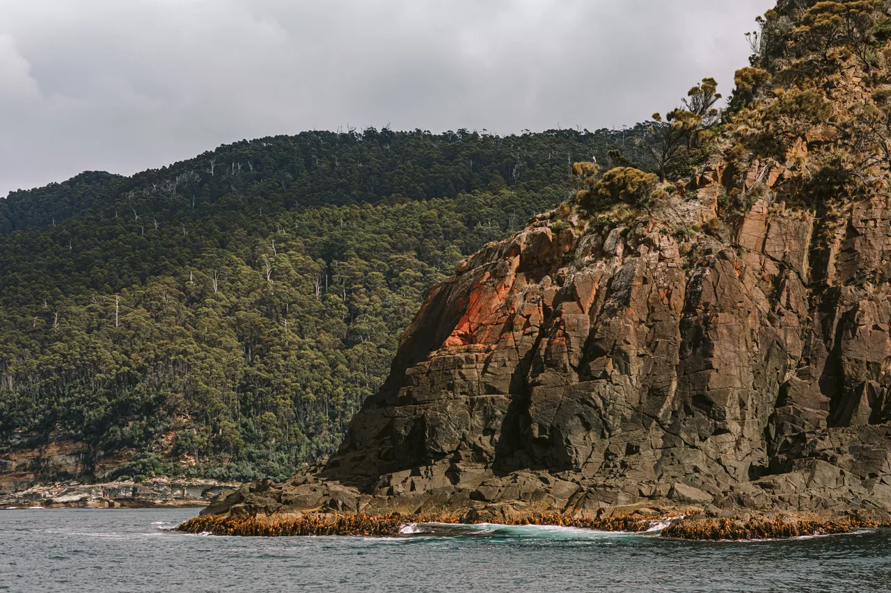 Sea Cliffs off Bruny Island