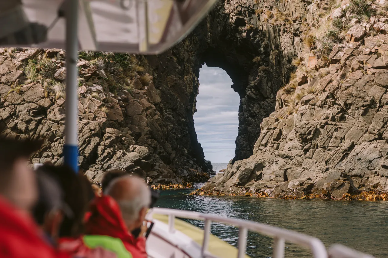Sea Cave on Pennicott Wilderness Journeys Cruise