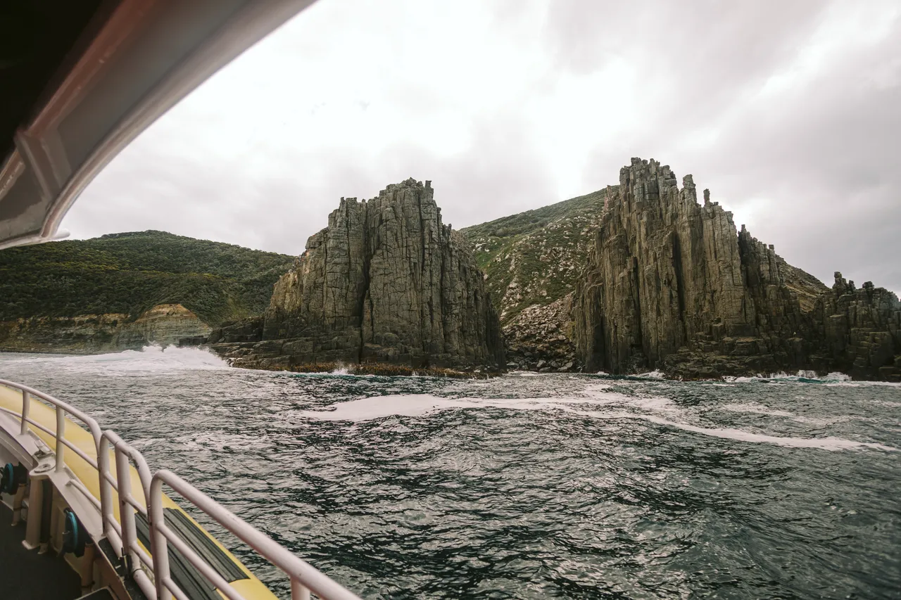 Sea Cliff Views on Pennicott Wilderness Journeys Cruise