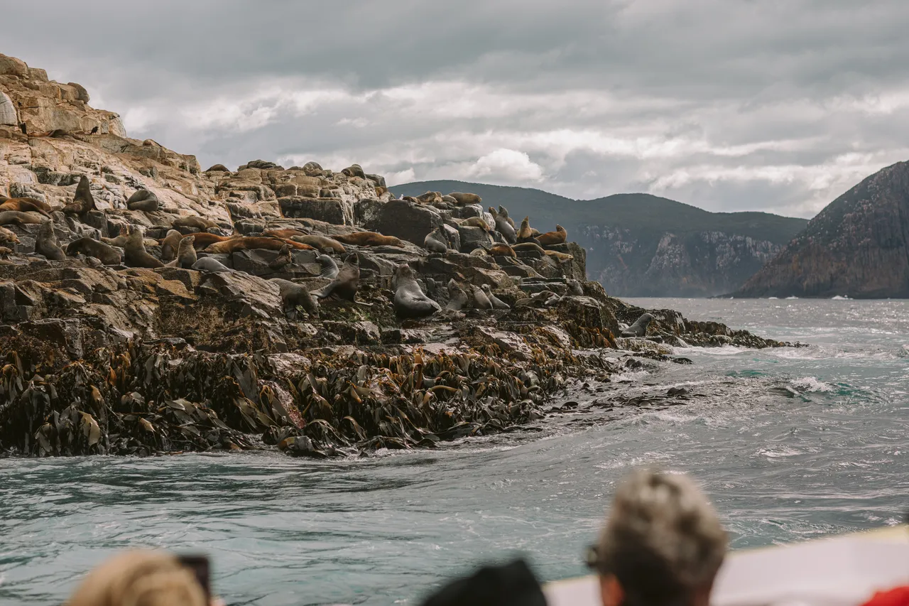 Pennicott Wilderness Journeys