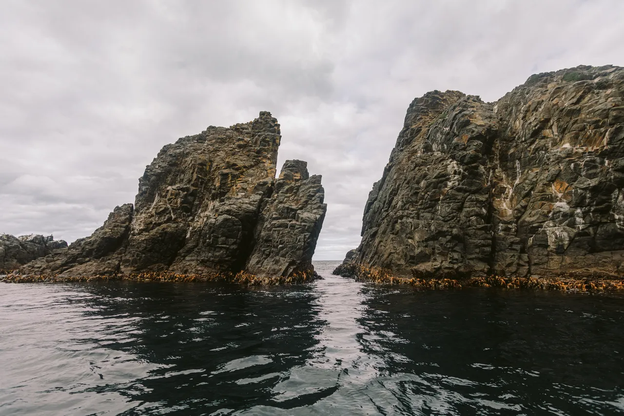 Pennicott Wilderness Journeys