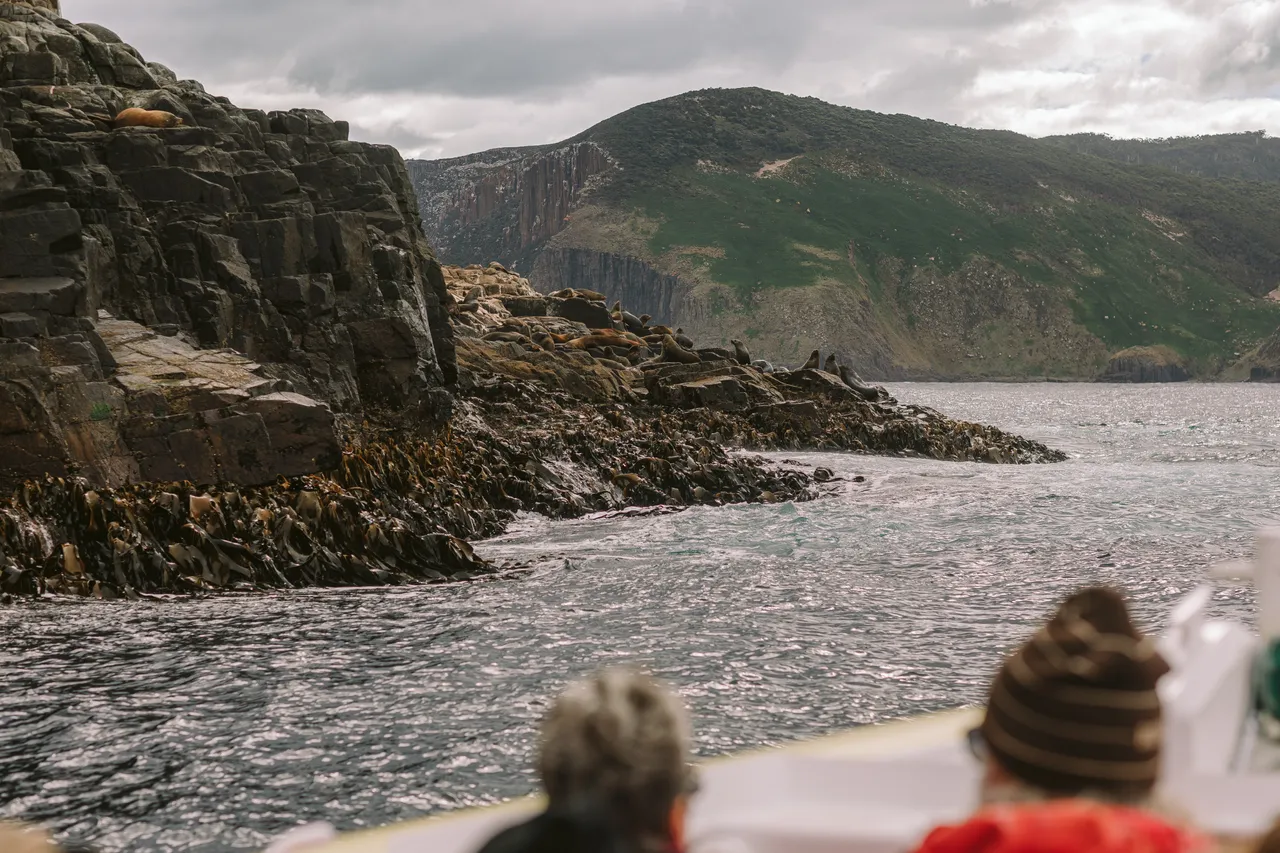 Pennicott Wilderness Journeys