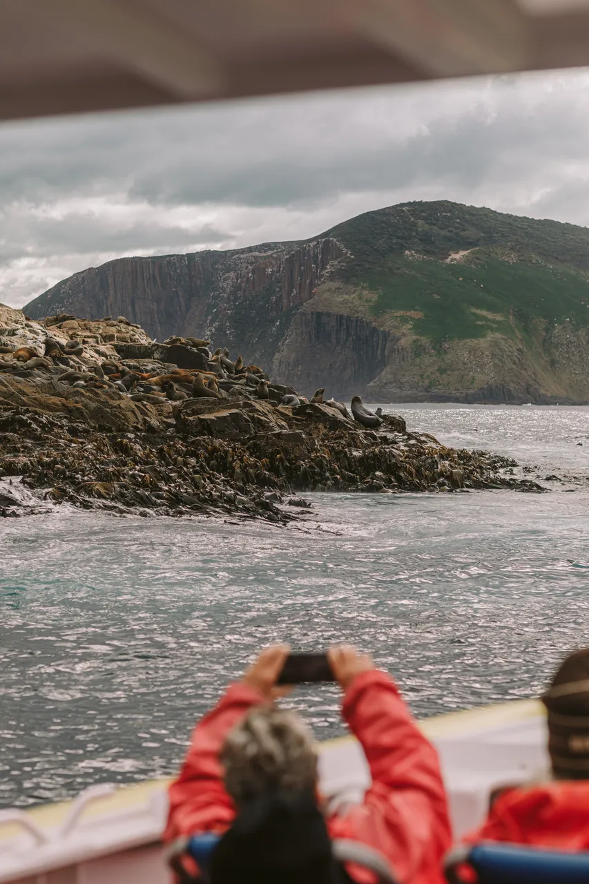 Pennicott Wilderness Journeys