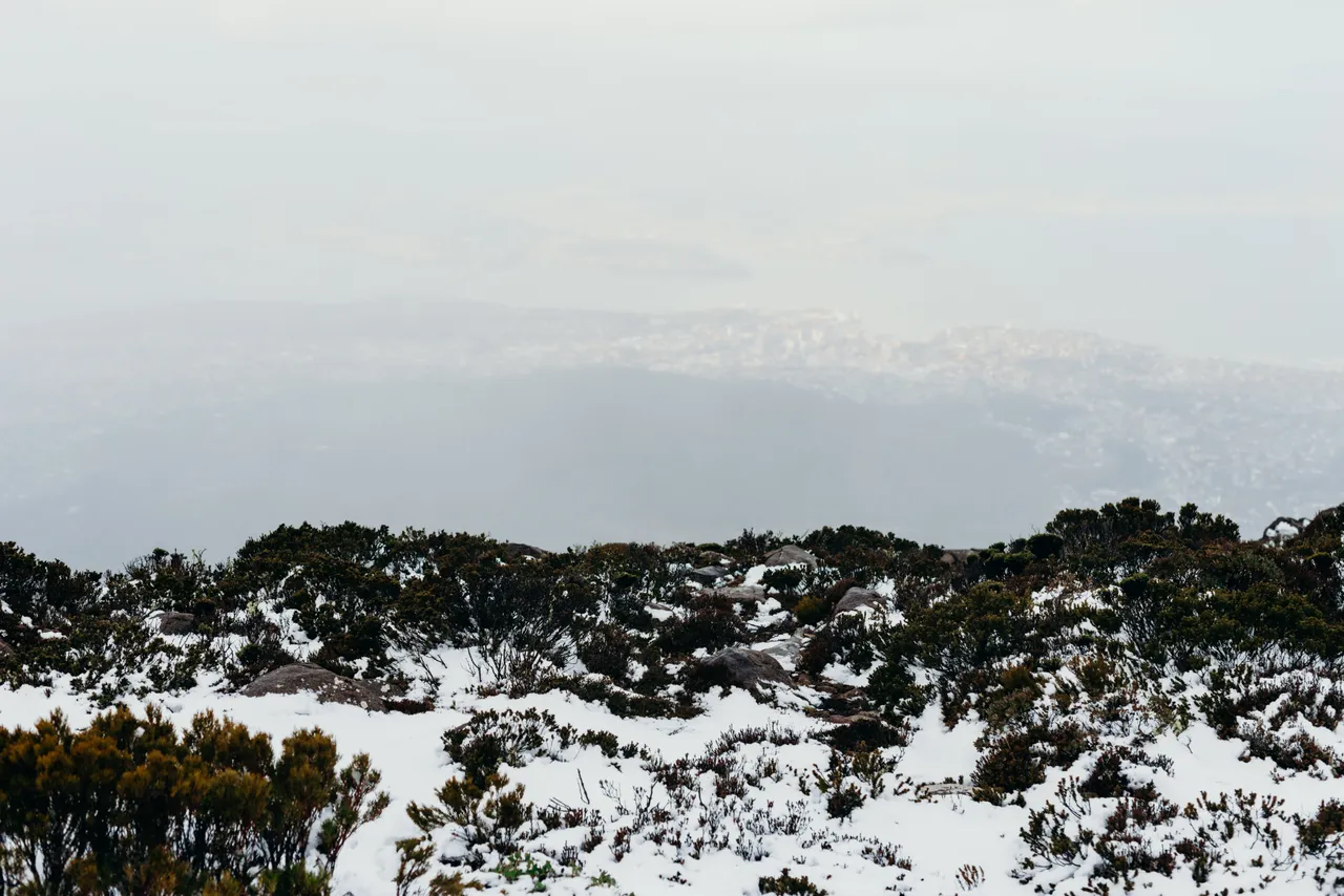 Snow on kunanyi / Mount Wellington