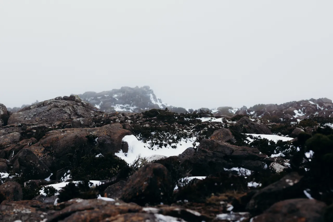 People in snow on kunanyi / Mount Wellington