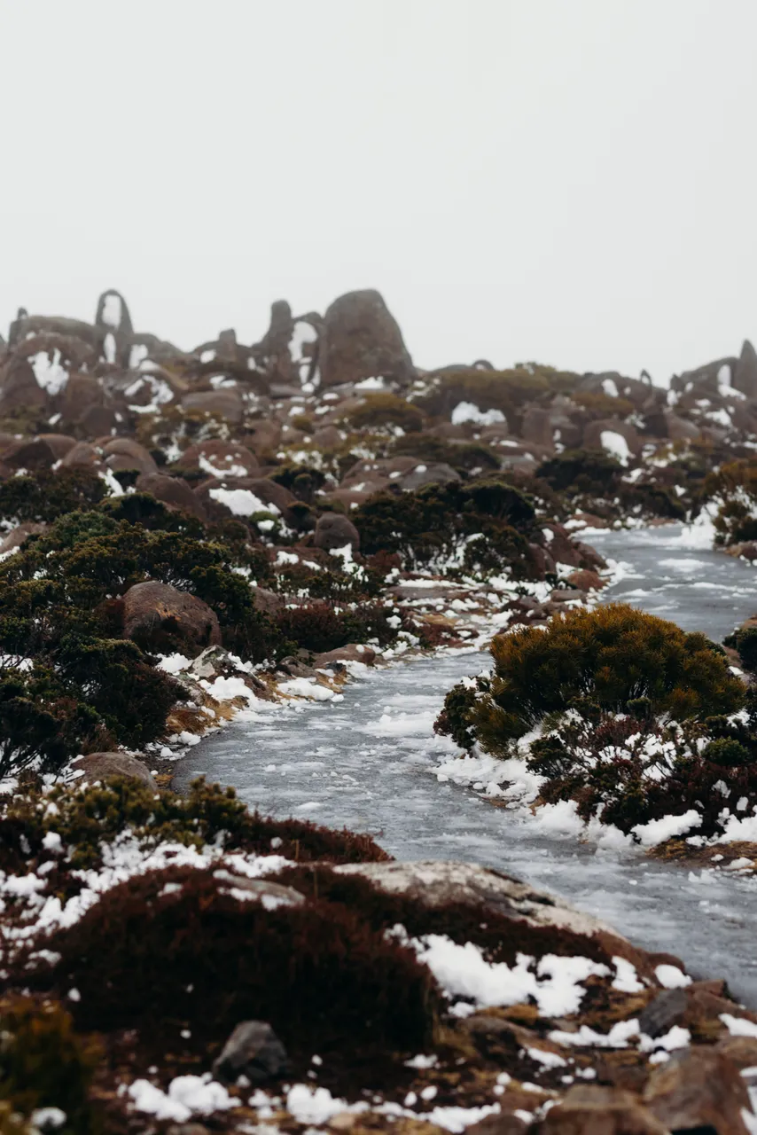 Snow on kunanyi / Mount Wellington