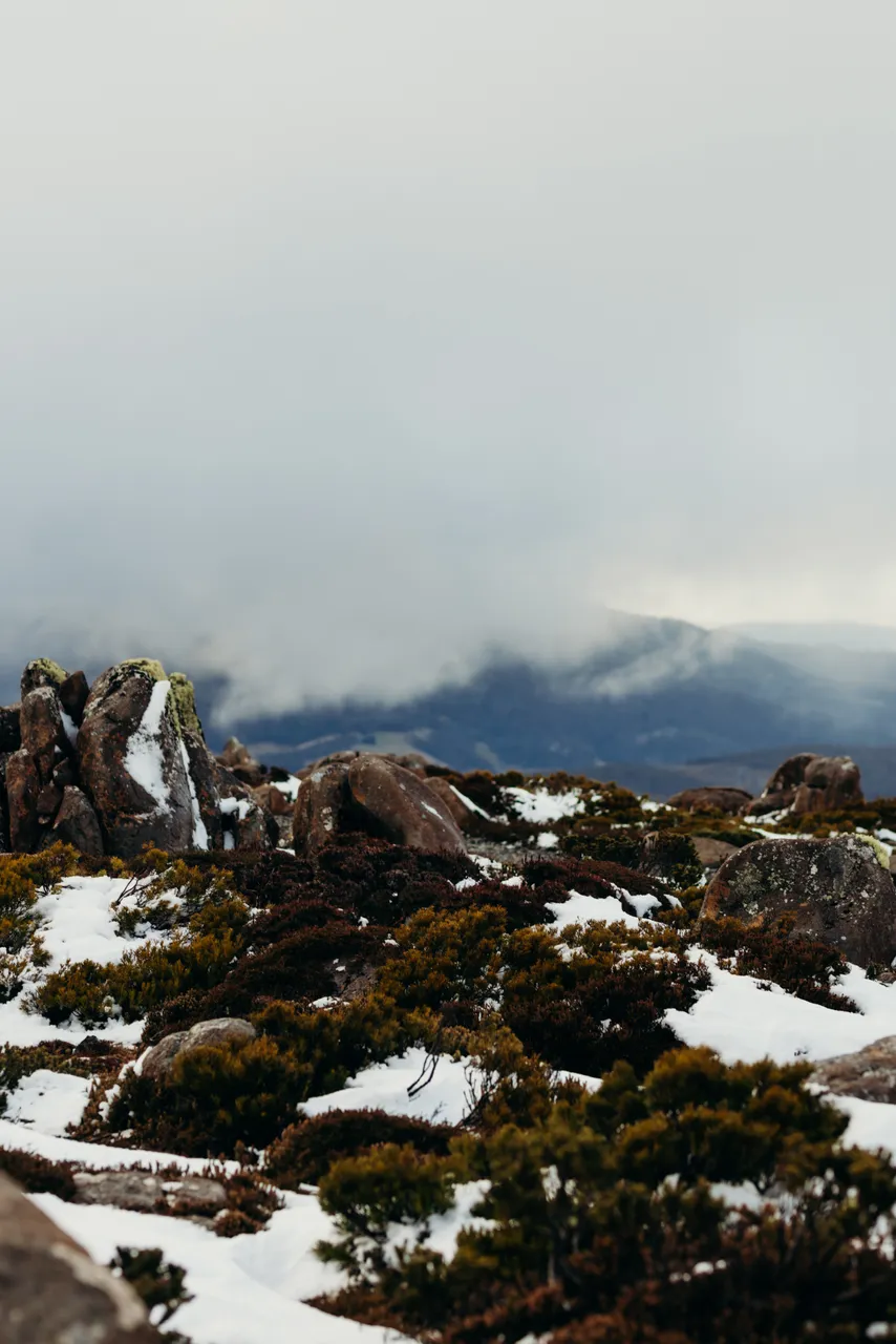 Snow on kunanyi / Mount Wellington