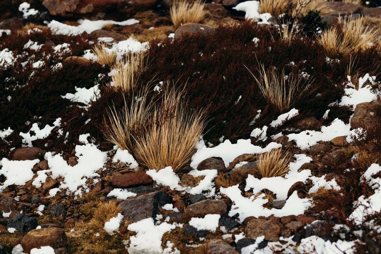 Snow on kunanyi / Mount Wellington