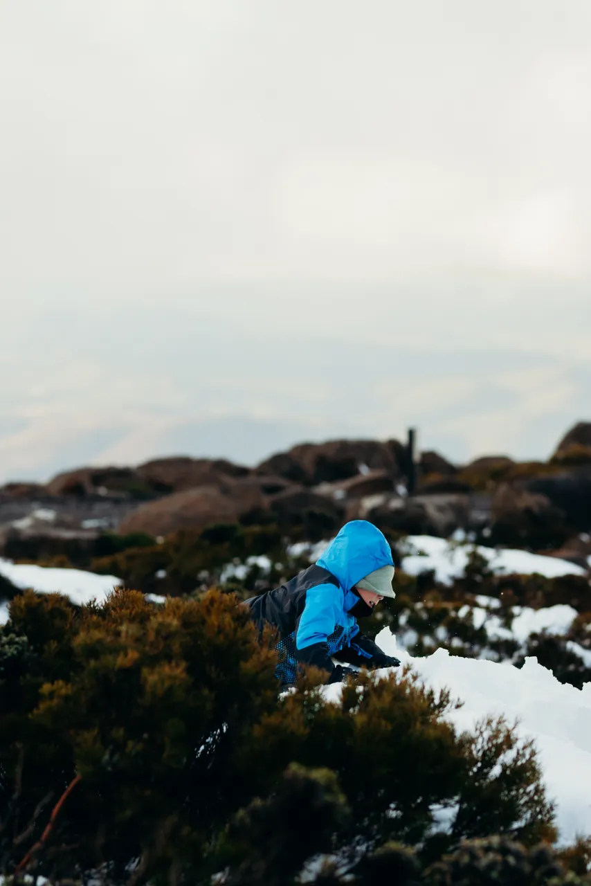 People in snow on kunanyi / Mount Wellington