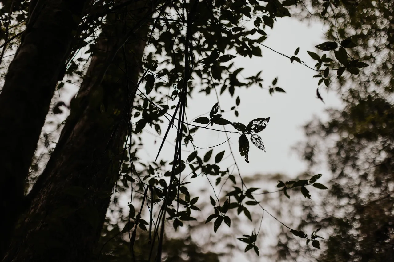 West Coast Textural