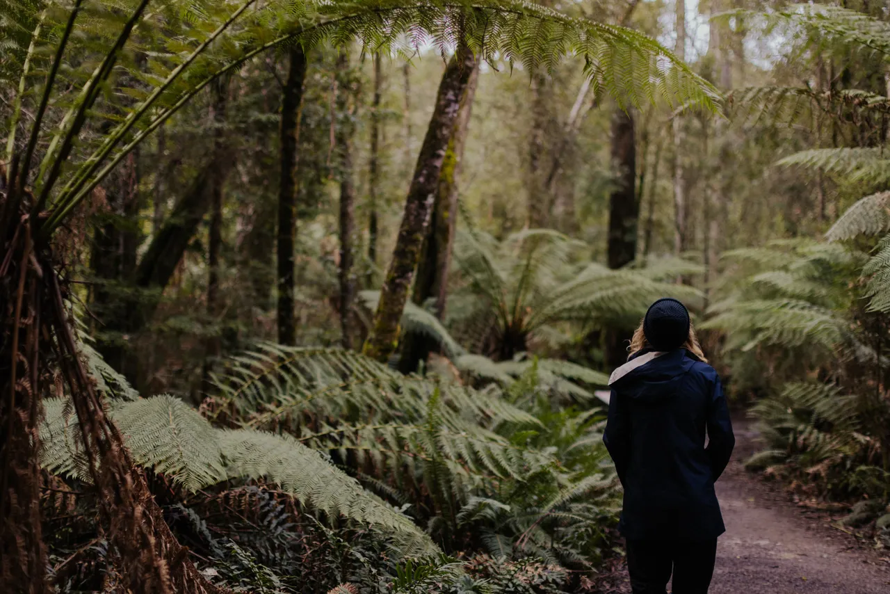 Person Walking Along Trail
