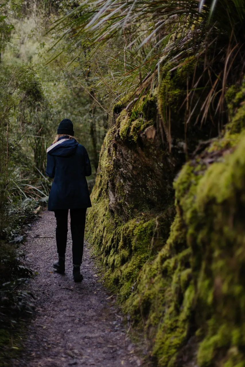 Person Walking Along Trail