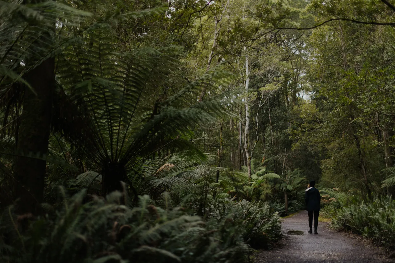 Person Walking Along Trail