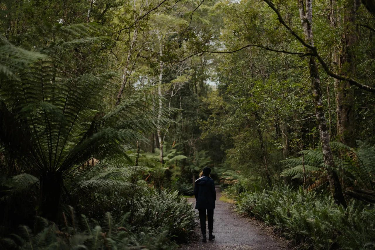 Person Walking Along Trail