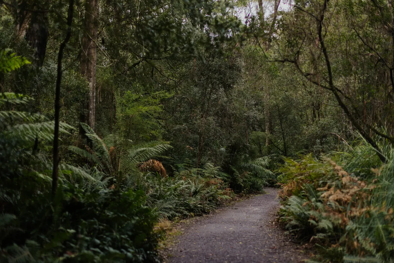 West Coast Track