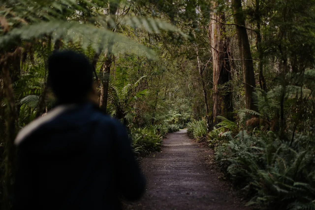 Person Walking Along Trail