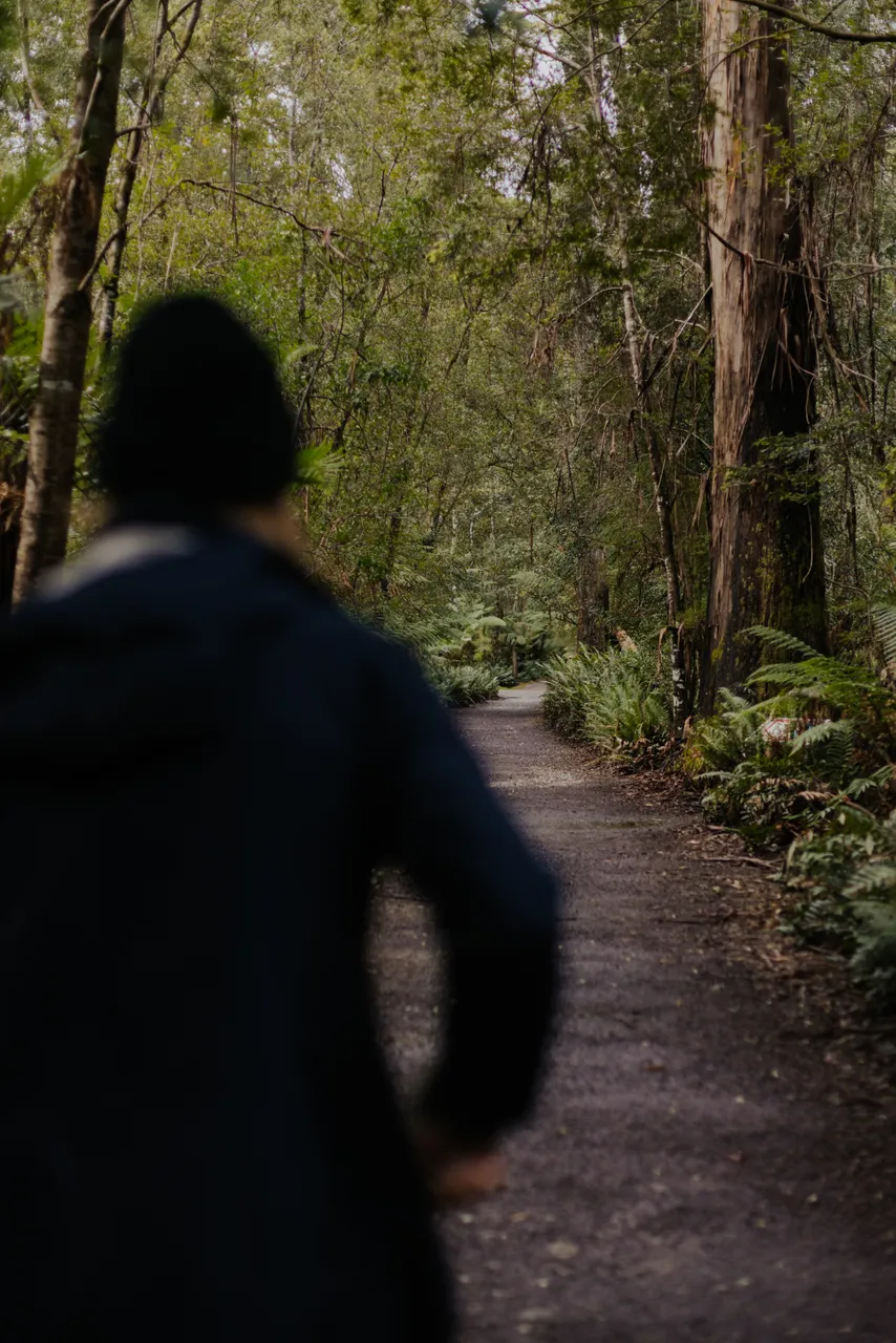 Person Walking Along Trail