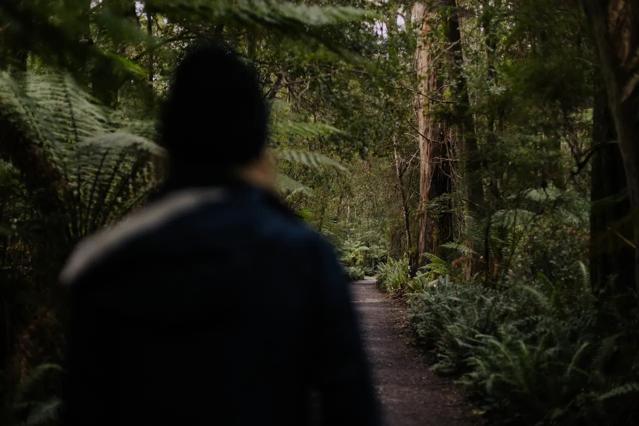 Person Walking Along Trail