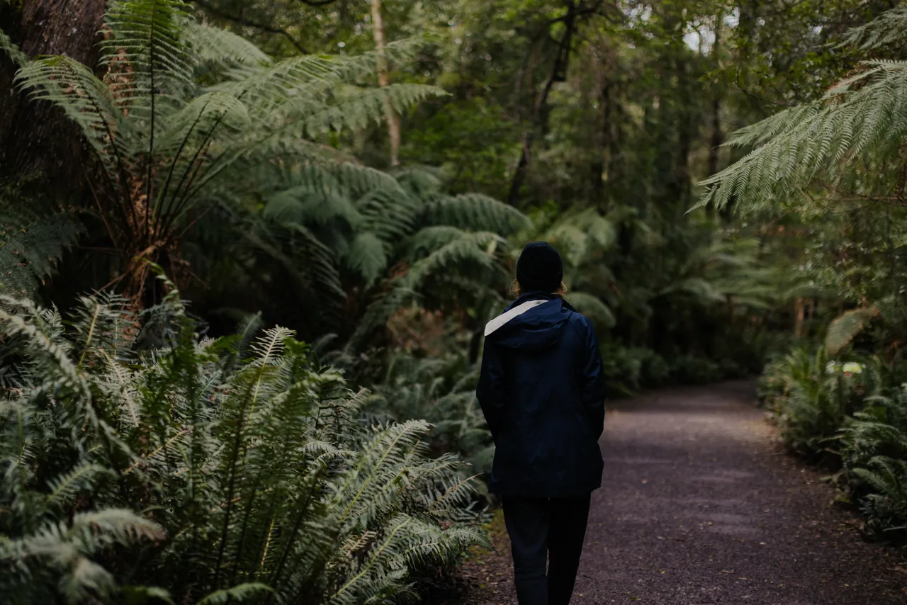 Person Walking Along Trail