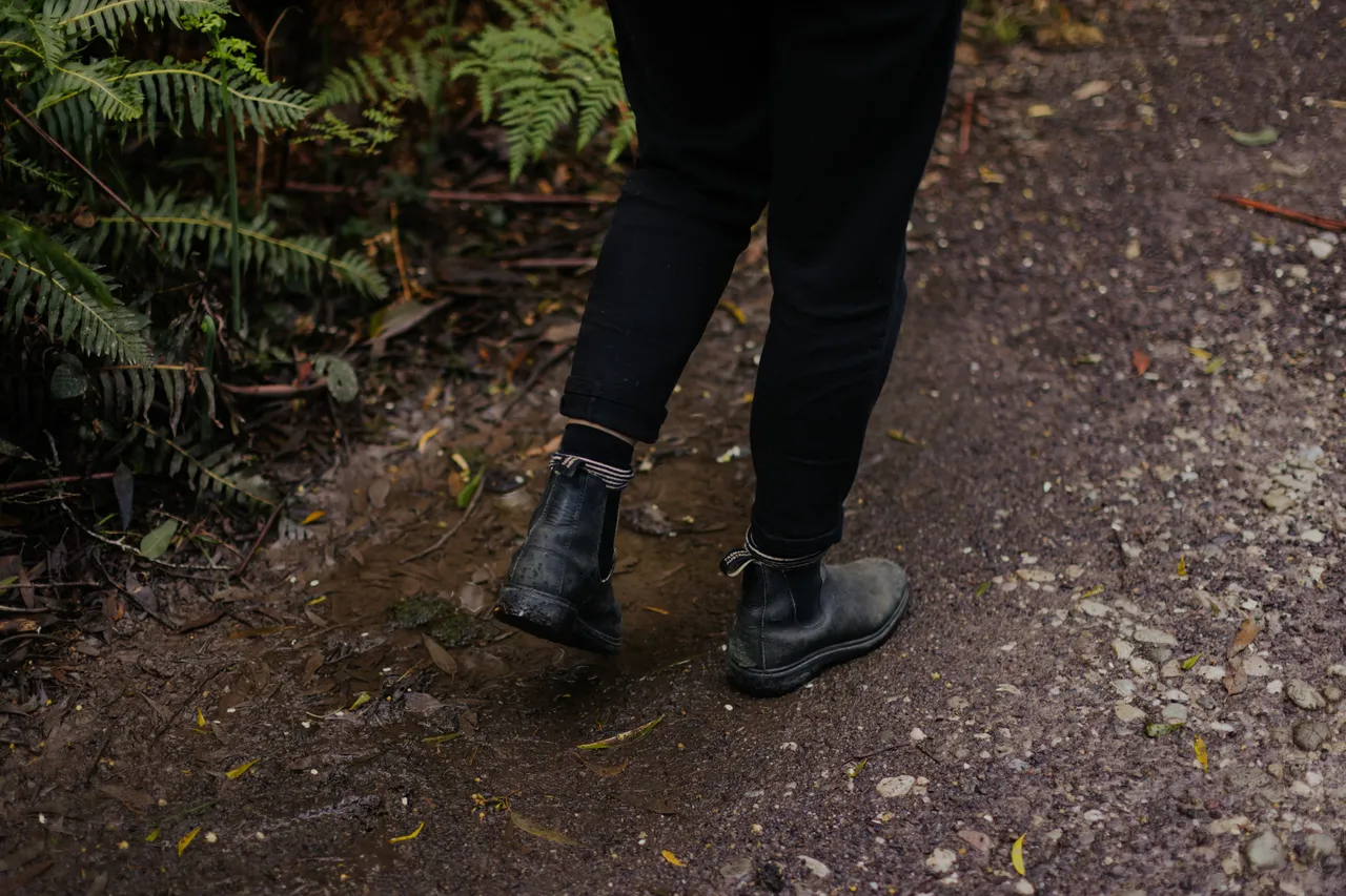 Person Walking Along Trail