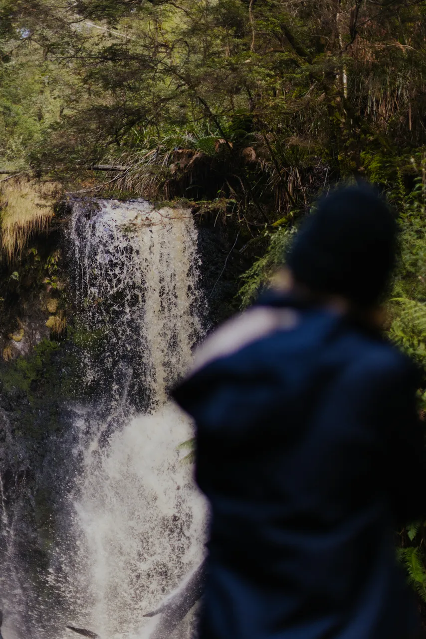 Person at Hogarth Falls