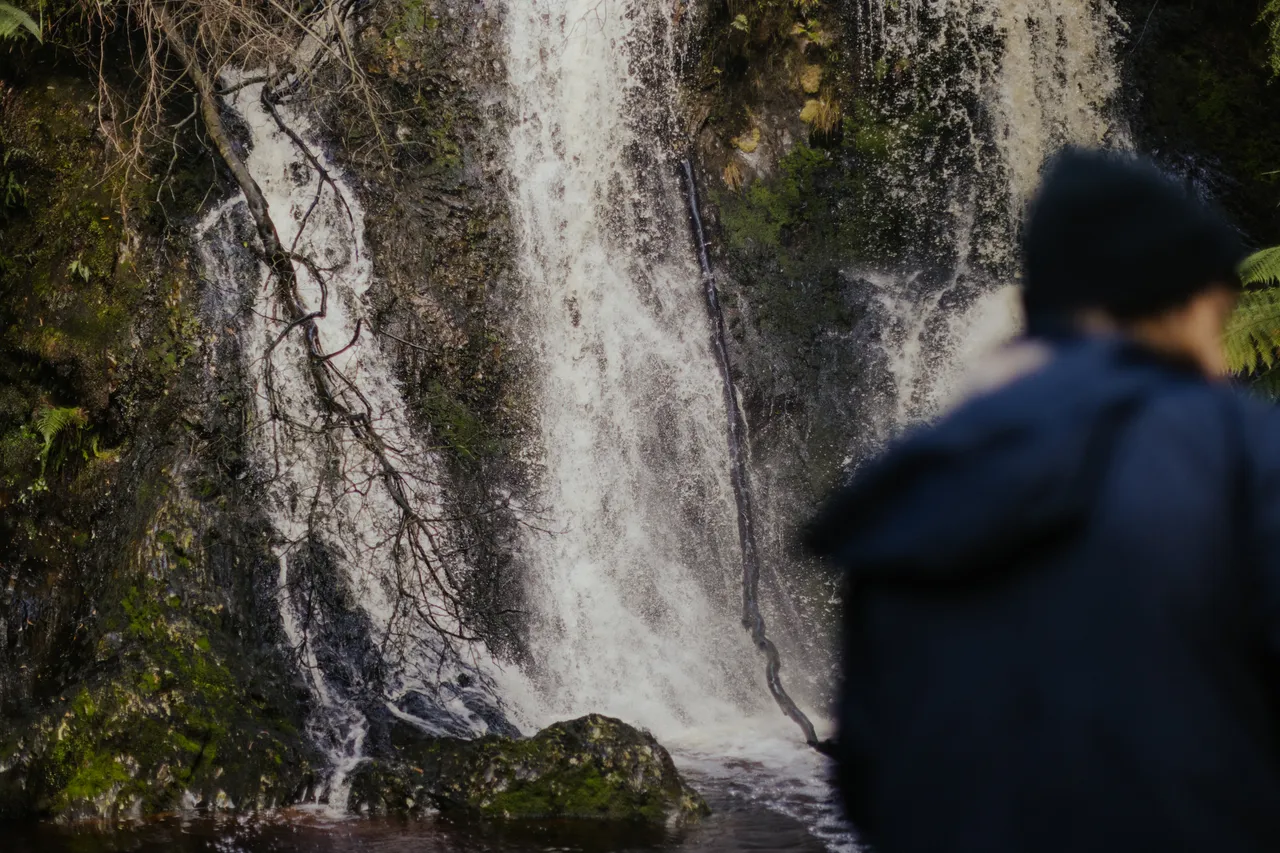 Person at Hogarth Falls
