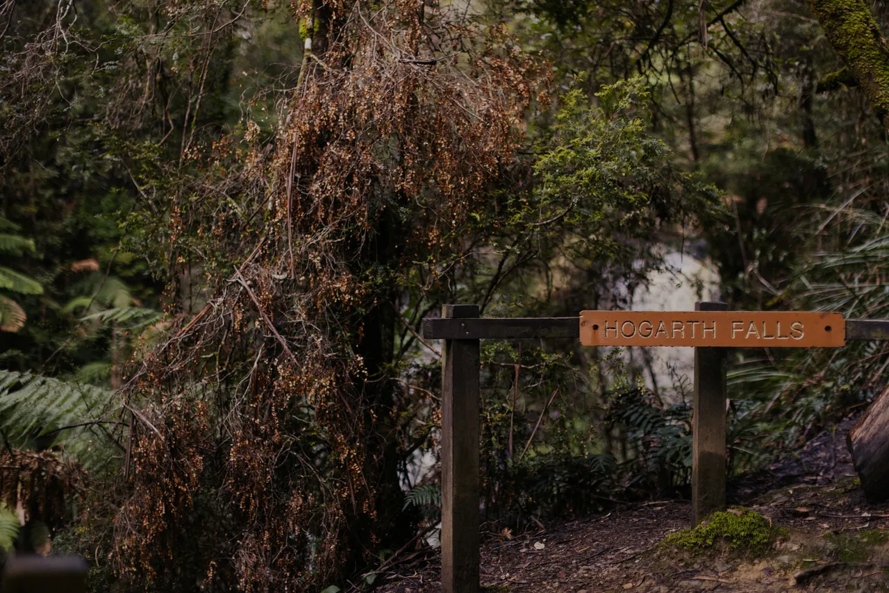 Hogarth Falls