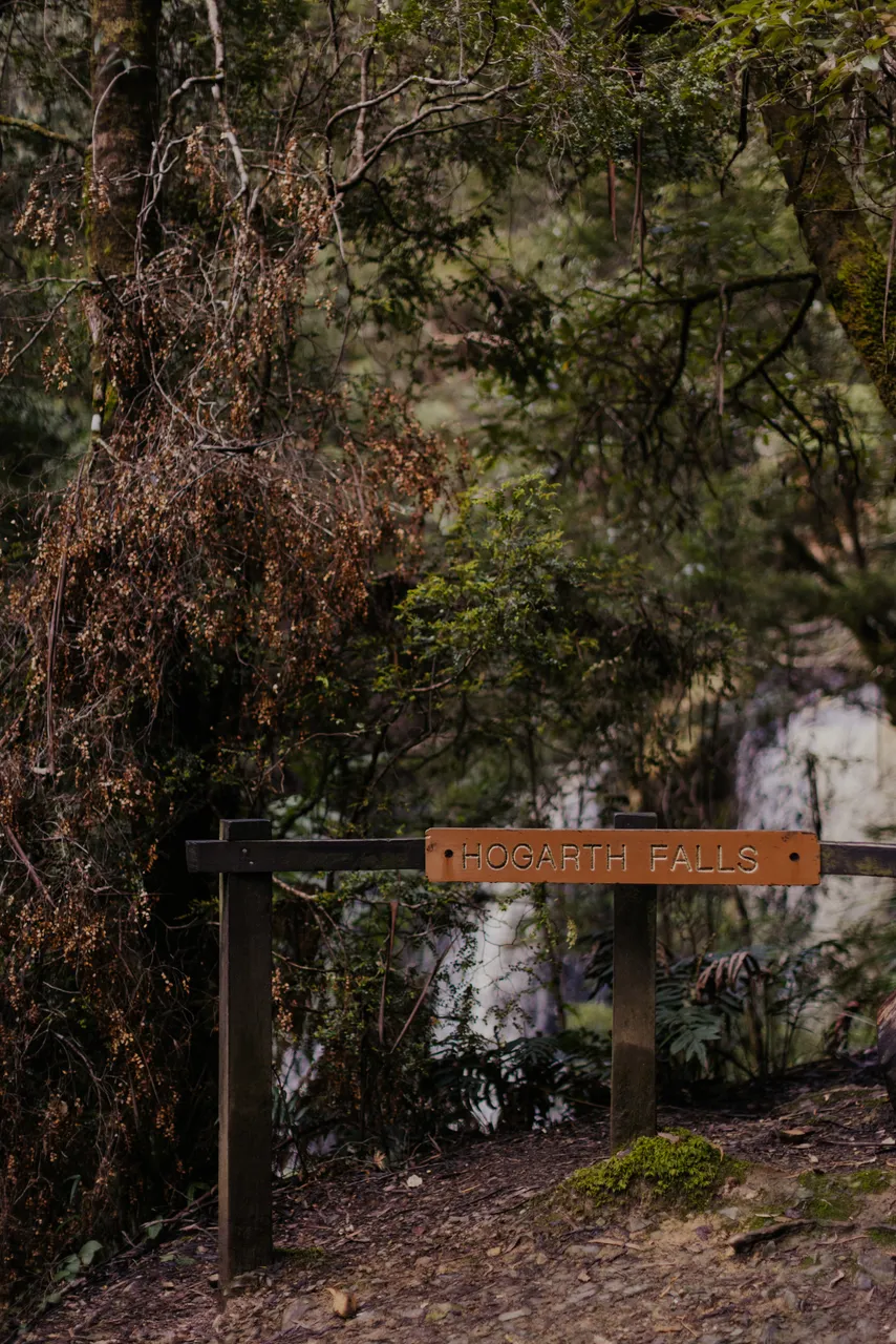 Hogarth Falls
